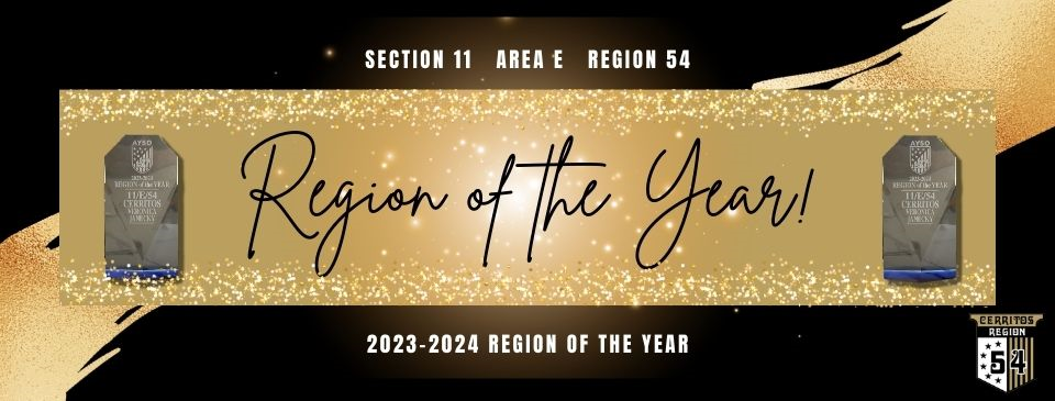 REGION OF THE YEAR 