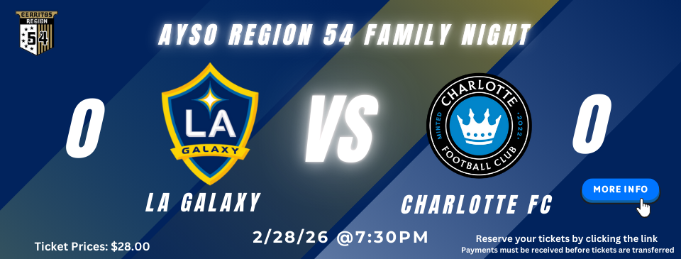 LA GALAXY FAMILY NIGHT 